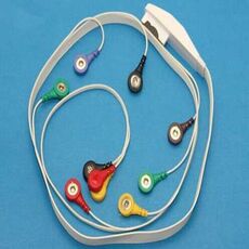 Holter cable Mortara and Quinton Compatible for H12   12 Channel Telemetry ECG Holter Cable with 10 Leadwires,  snaps end