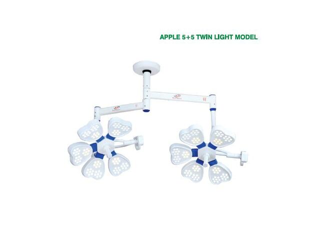 BJS Apple 5+5 Double Dome Ceiling OT Light