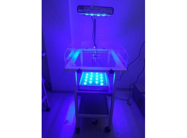 Doctroid India LED Phototherapy Machine With Timer (Bilicure Smart)